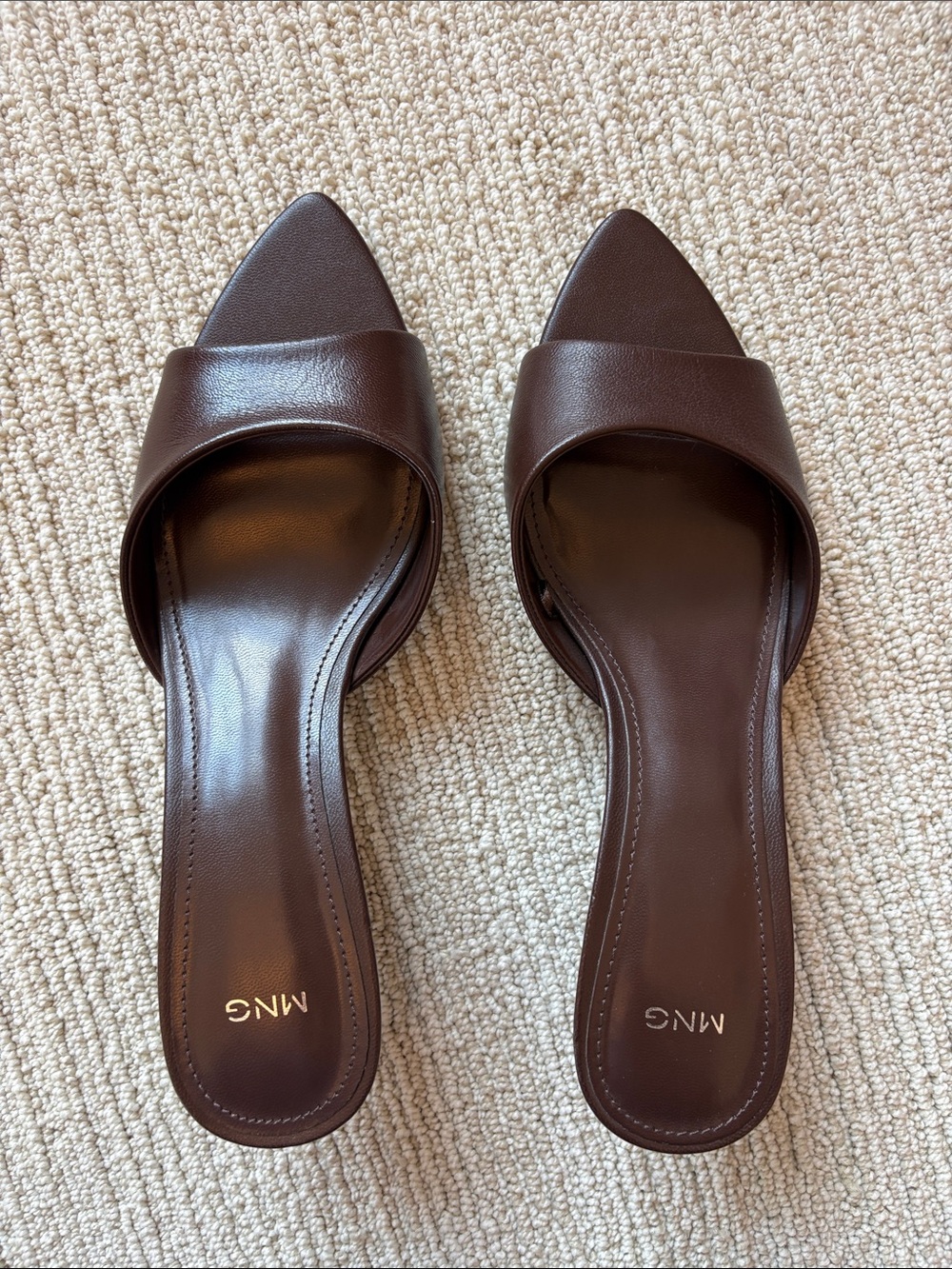 Mango Pointed Toe Kitten Heel
